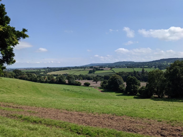 Images for Whiteball, Wellington