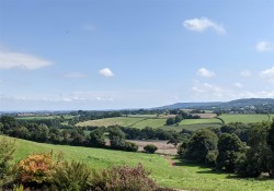 Images for Whiteball, Wellington