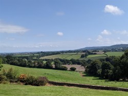 Images for Whiteball, Wellington