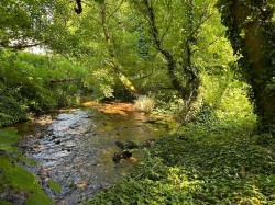 Images for Calbourne, Isle of Wight