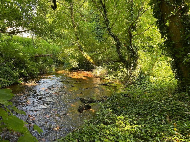 Images for Calbourne, Isle of Wight