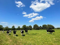 Images for Calbourne, Isle of Wight