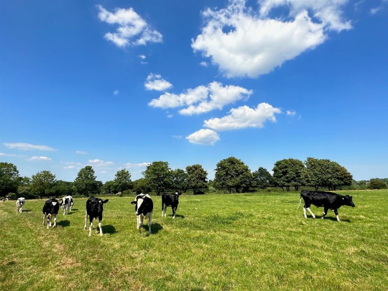 Images for Calbourne, Isle of Wight
