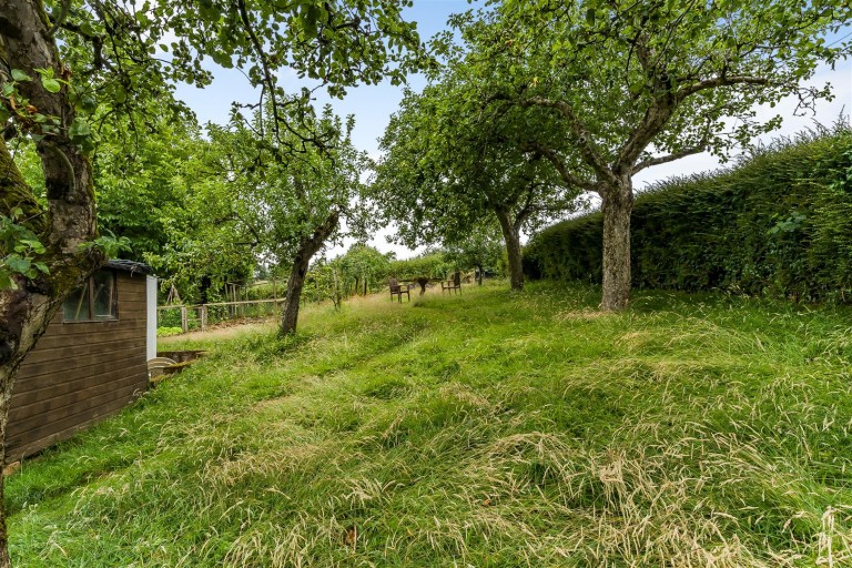 Images for Whiteball, Wellington