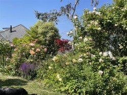 Images for Ningwood, Isle of Wight