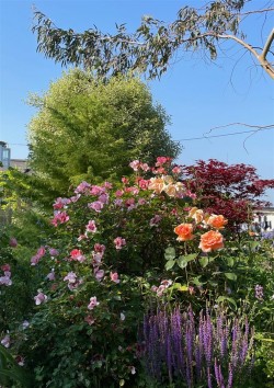 Images for Ningwood, Isle of Wight