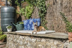 Images for Kingston Blount