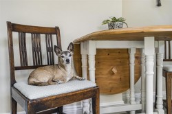 Images for Kingston Blount