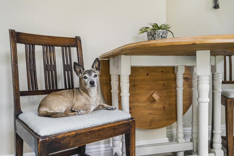 Images for Kingston Blount