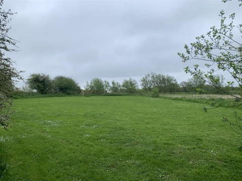 Click the photo for more details of Langtree