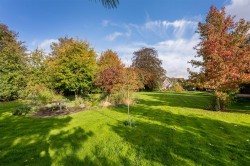Images for WATLINGTON