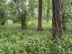 Images for Brithem Bottom, Cullompton