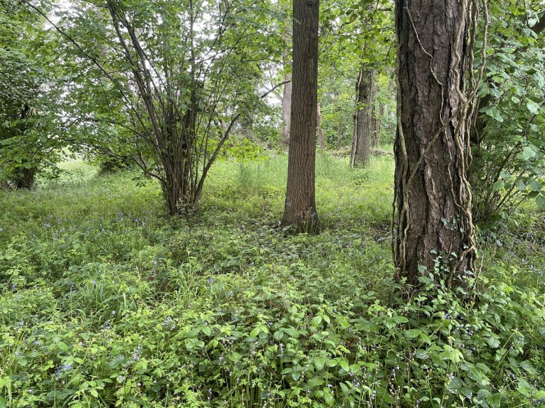 Click the photo for more details of Brithem Bottom, Cullompton