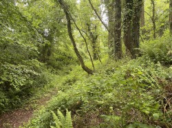 Images for Brithem Bottom, Cullompton