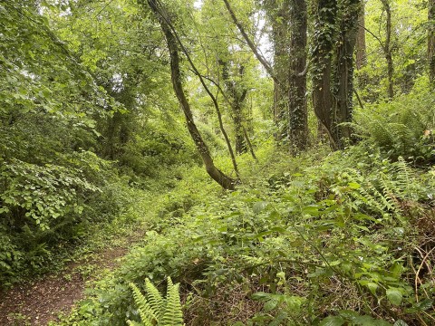 Click the photo for more details of Brithem Bottom, Cullompton