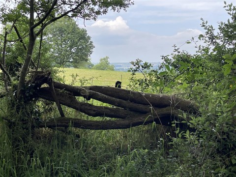Click the photo for more details of Brithem Bottom, Cullompton