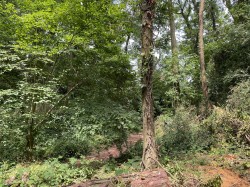 Images for Brithem Bottom, Cullompton