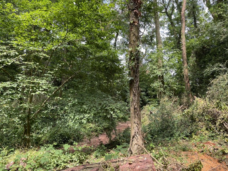 Images for Brithem Bottom, Cullompton