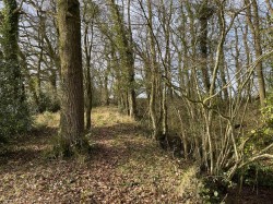 Images for Brithem Bottom, Cullompton