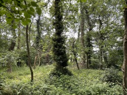 Images for Brithem Bottom, Cullompton