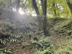 Images for Brithem Bottom, Cullompton