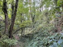 Images for Brithem Bottom, Cullompton