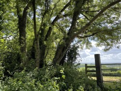 Images for Brithem Bottom, Cullompton