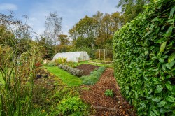 Images for Trenhorne, Launceston