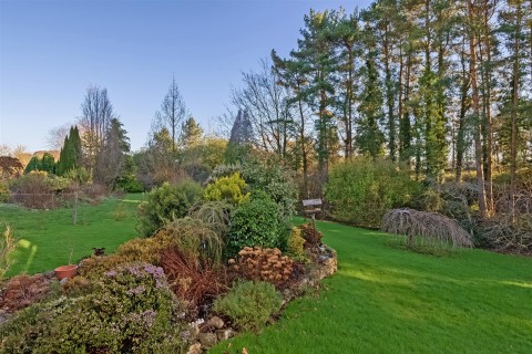 Click the photo for more details of Marsh, Honiton