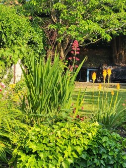 Images for Couching Street, Watlington
