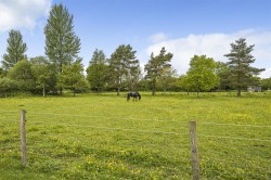 Images for Halstock, Dorset