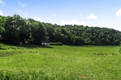Images for Tamar Valley