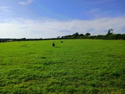 Images for Week St. Mary, Holsworthy