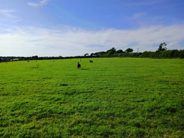 Images for Week St. Mary, Holsworthy