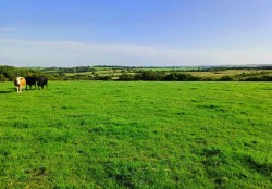Images for Week St. Mary, Holsworthy