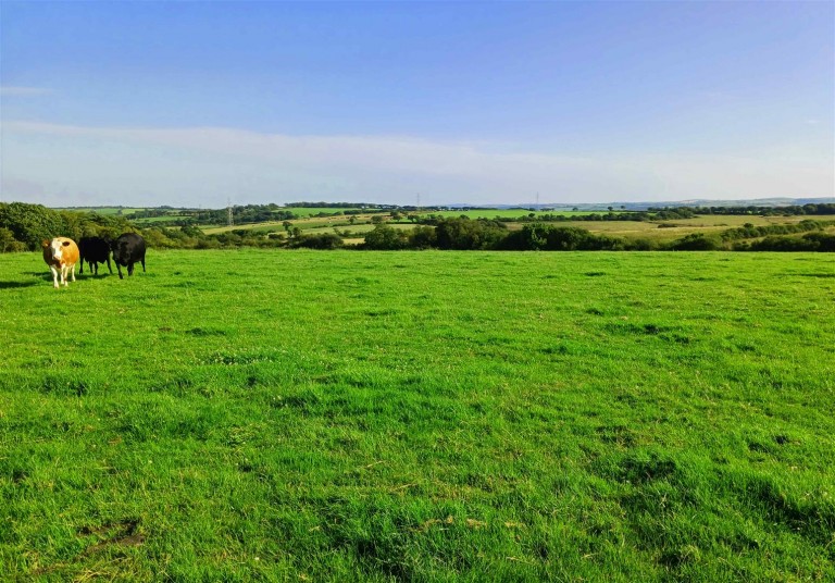 Images for Week St. Mary, Holsworthy