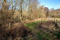 Images for Crowcombe, Taunton
