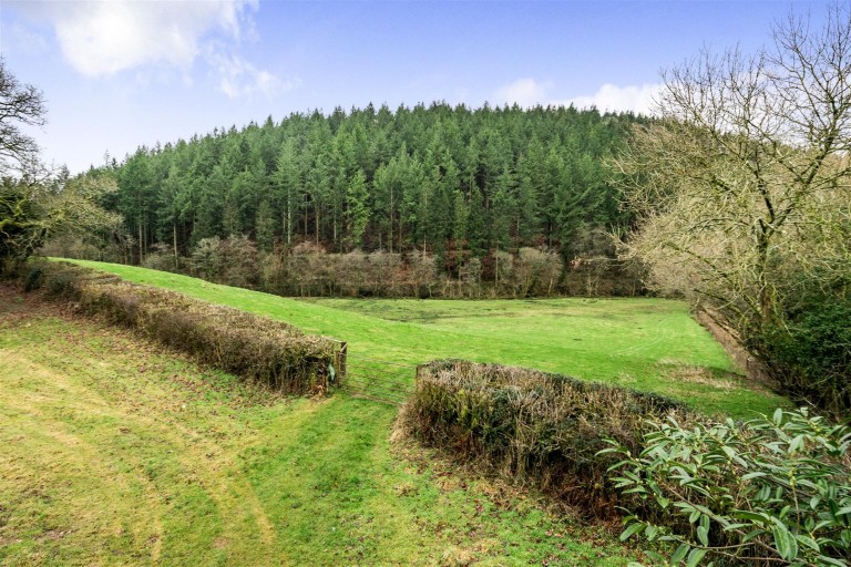 Images for Raddington, Taunton