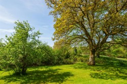 Images for Horrabridge, Devon