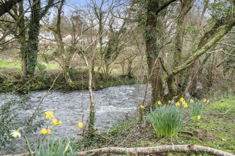 Click the photo for more details of Horrabridge, Devon