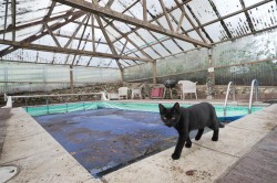 Images for Upottery, Honiton