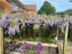 Images for Lilac Drive, Lutterworth