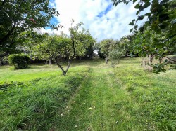 Images for Abbotsham Court, Abbotsham, Bideford