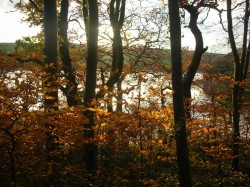 Images for Stoke Gabriel, Totnes