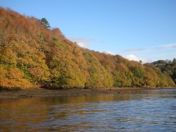 Images for Stoke Gabriel, Totnes