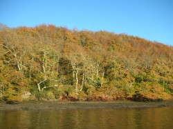 Images for Stoke Gabriel, Totnes