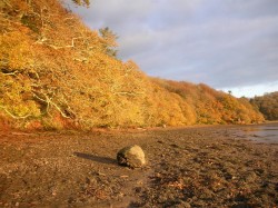 Images for Stoke Gabriel, Totnes