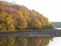 Images for Stoke Gabriel, Totnes