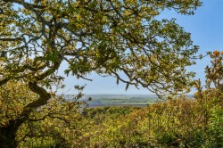 Images for Blisland, Bodmin
