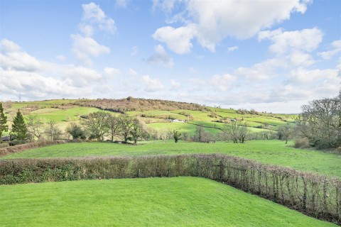 Click the photo for more details of Fishpond, Bridport